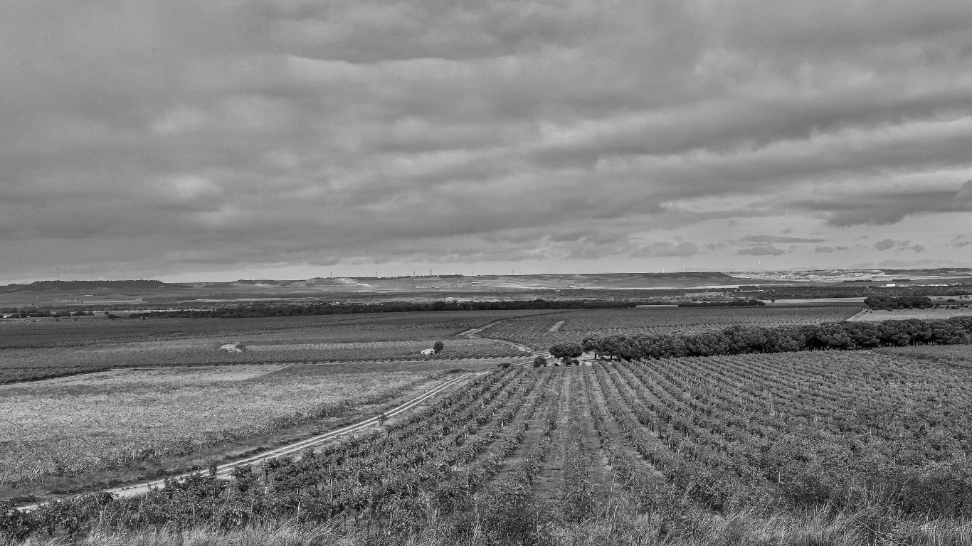paisaje BELONDRADE